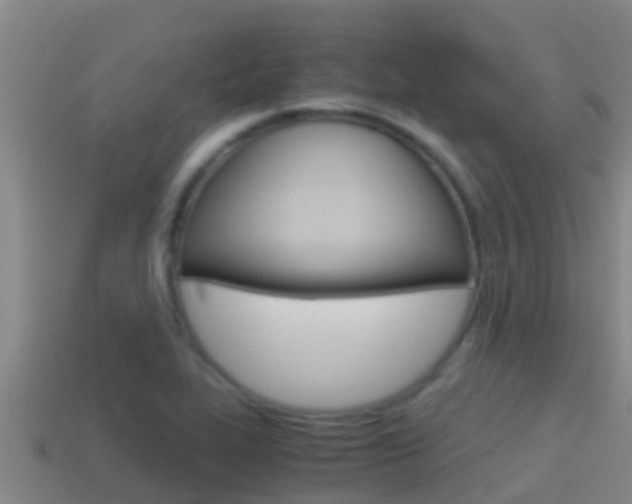 X0000114621319200910200953
