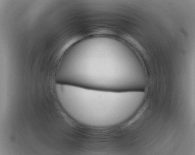 X0000114621321200910200953