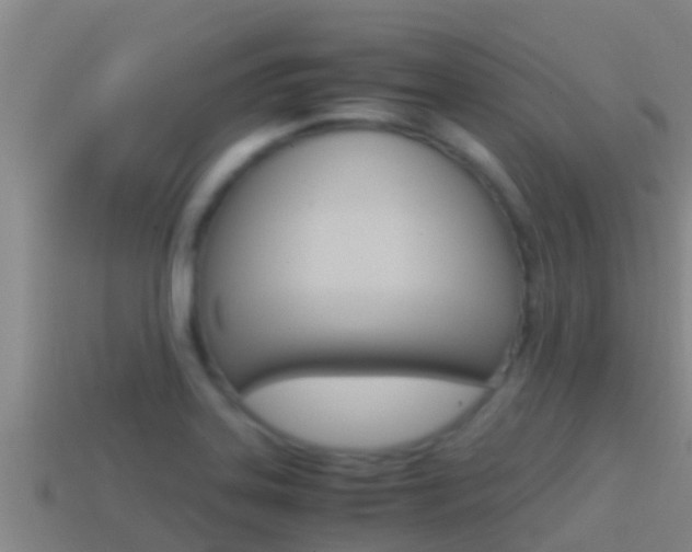 X0000114621323200910200953