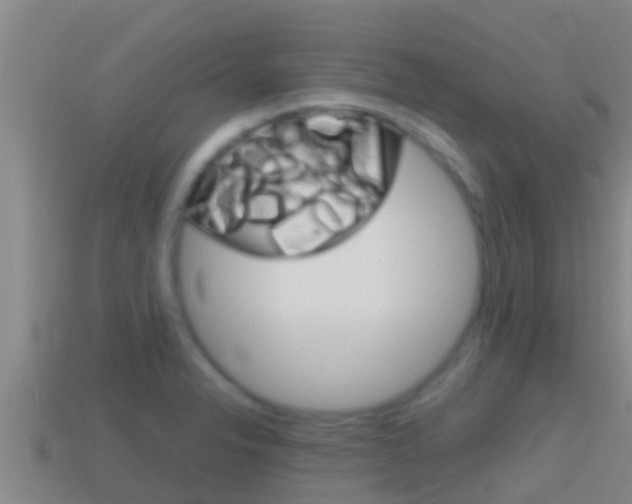 X0000114621326200910200953