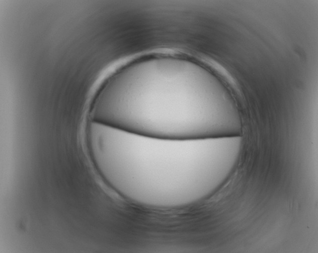 X0000114621327200910200953