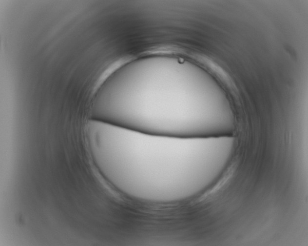 X0000114621329200910200953