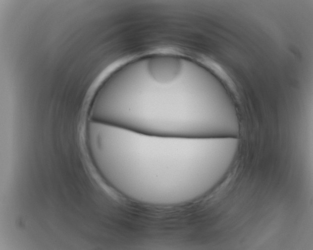 X0000114621331200910200953