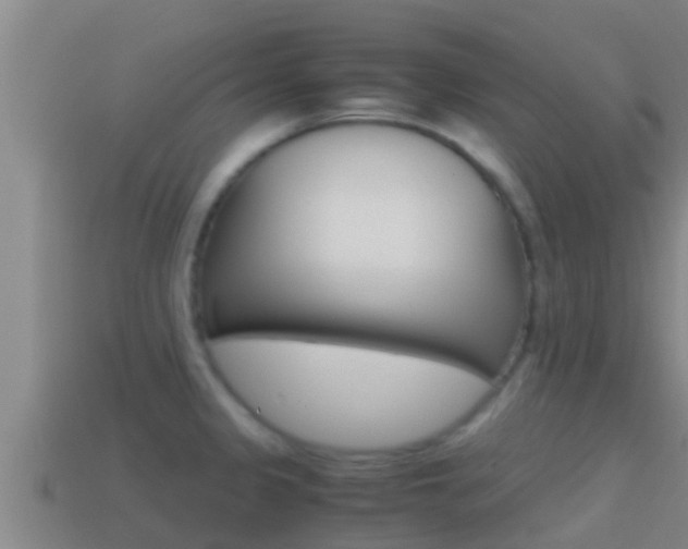 X0000114621333200910200953
