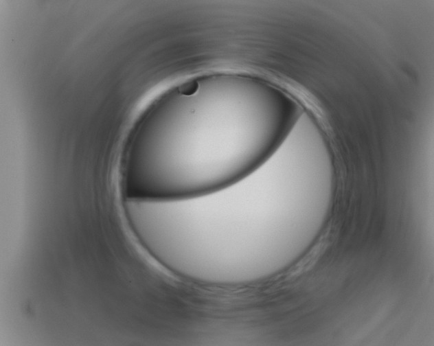 X0000114621334200910200953