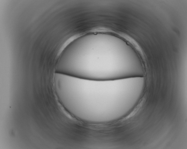 X0000114621337200910200954