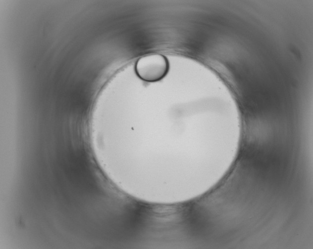X0000114621338200910200954