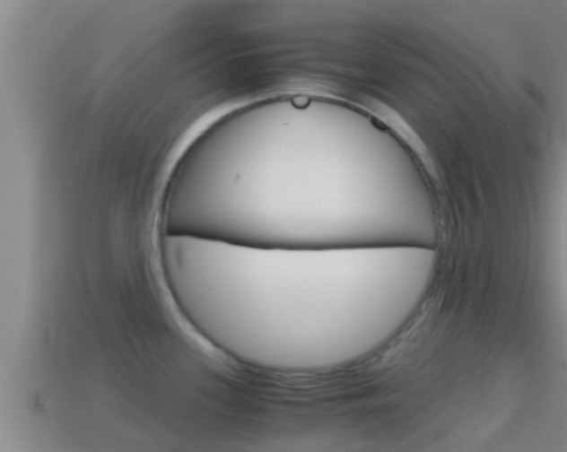 X0000114621339200910200954