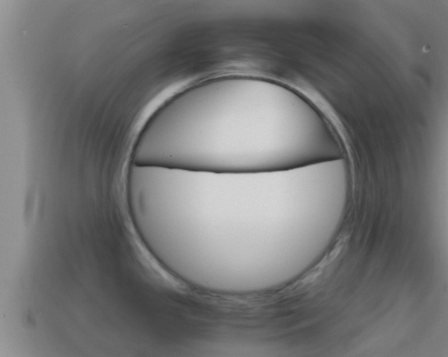 X0000114621341200910200954