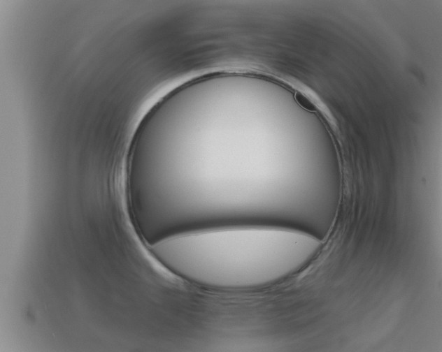 X0000114621343200910200954