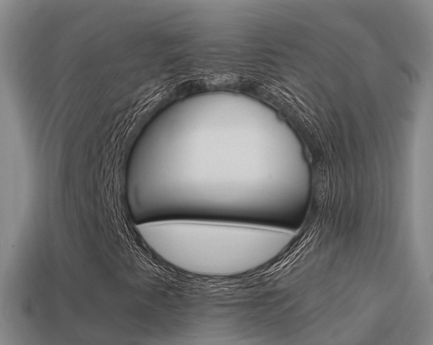 X0000114621345200910200953