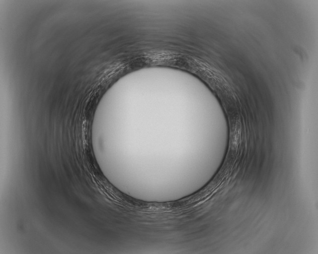 X0000114621346200910200953