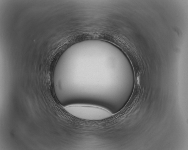 X0000114621347200910200953