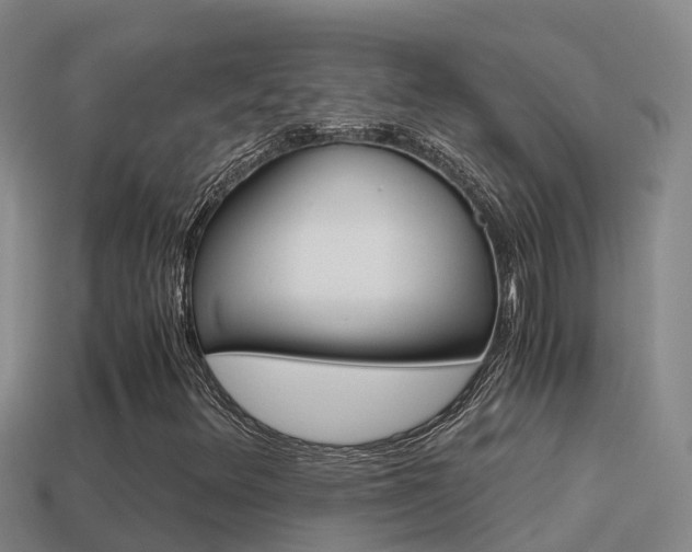 X0000114621348200910200953