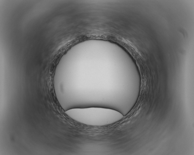 X0000114621350200910200953