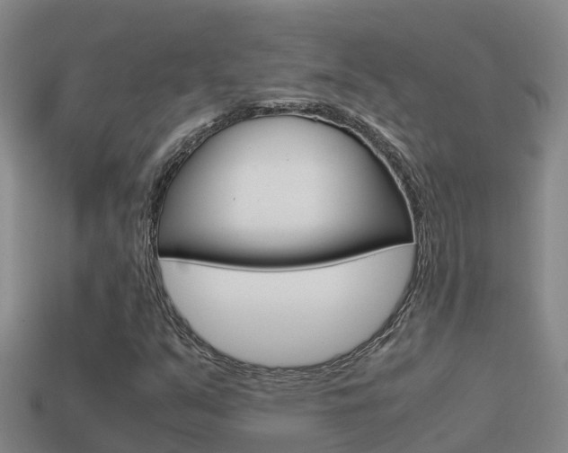 X0000114621351200910200953