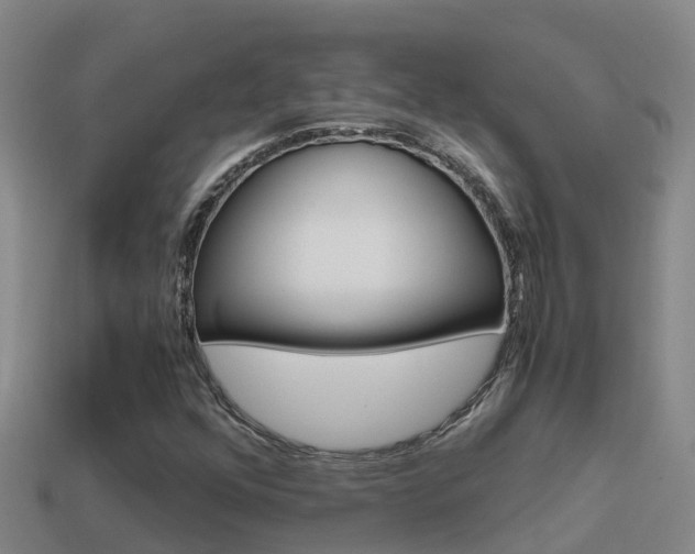 X0000114621352200910200953