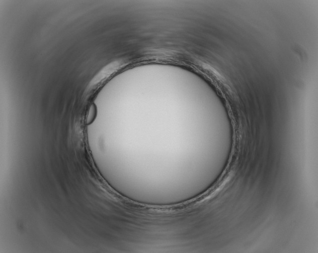 X0000114621354200910200953