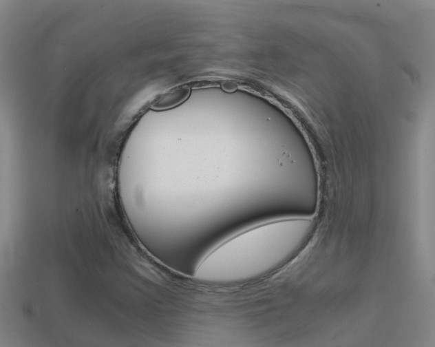 X0000114621355200910200953