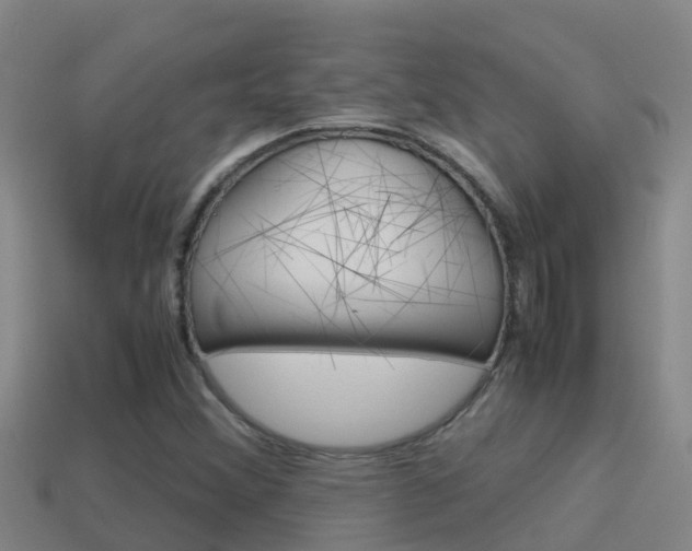 X0000114621356200910200953