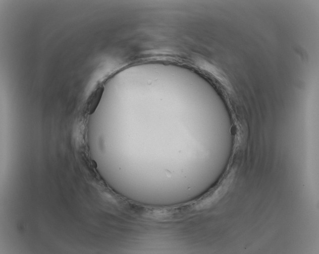 X0000114621357200910200953
