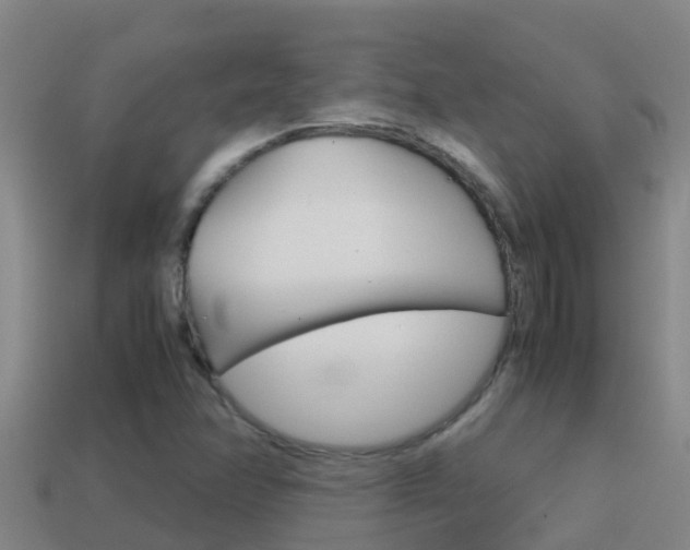 X0000114621358200910200953