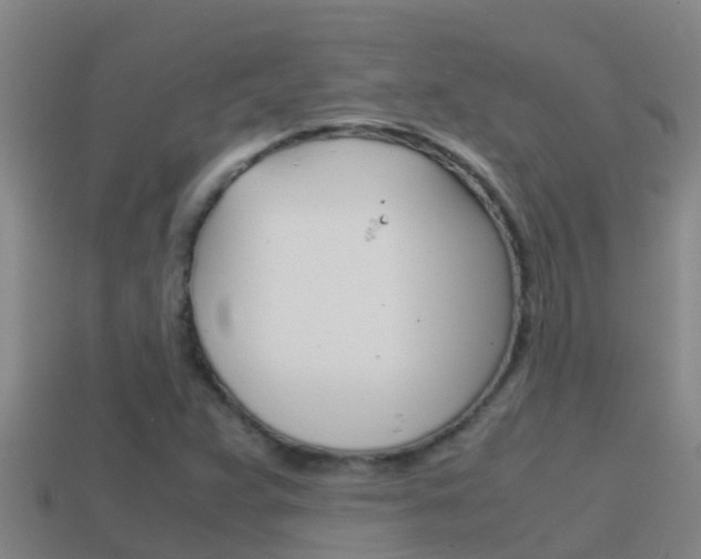 X0000114621359200910200953
