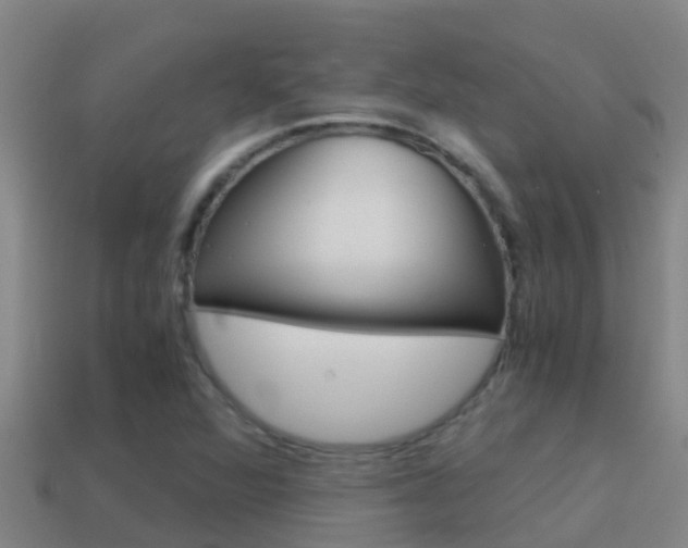 X0000114621360200910200953