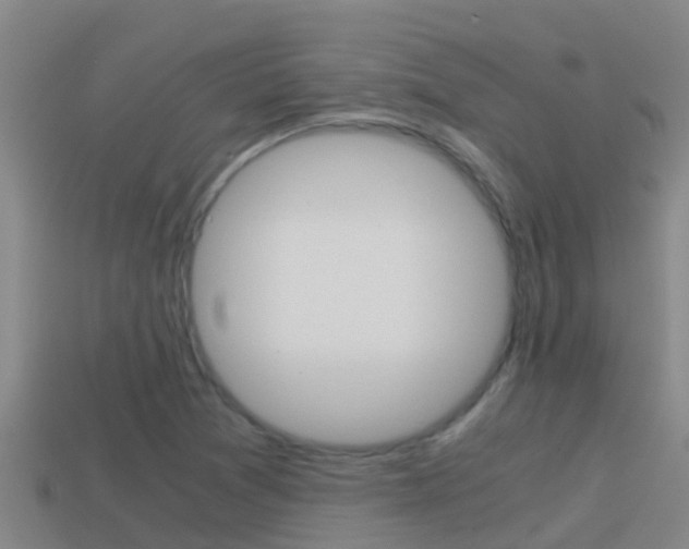 X0000114621361200910200953