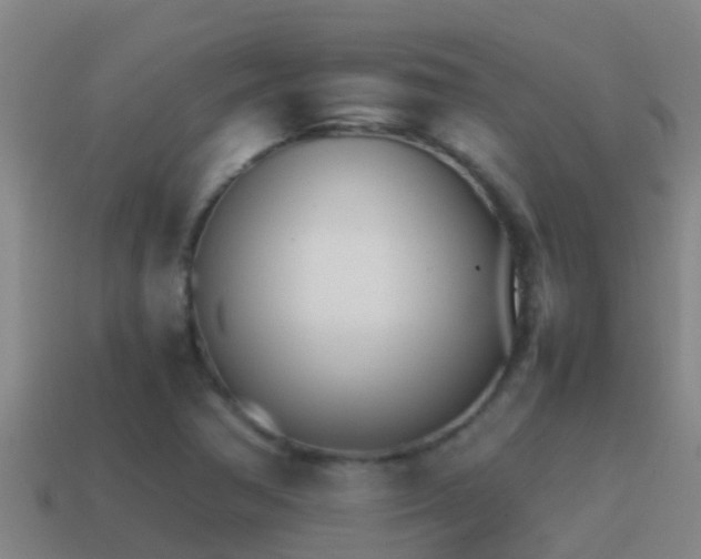X0000114621362200910200953