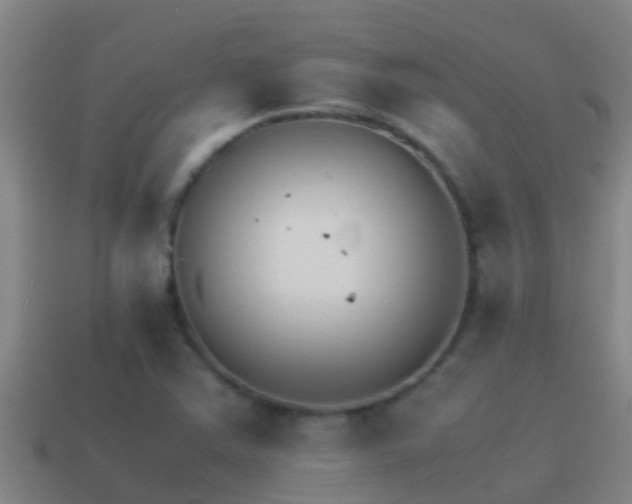 X0000114621363200910200953