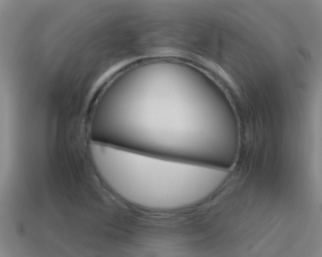 X0000114621364200910200953