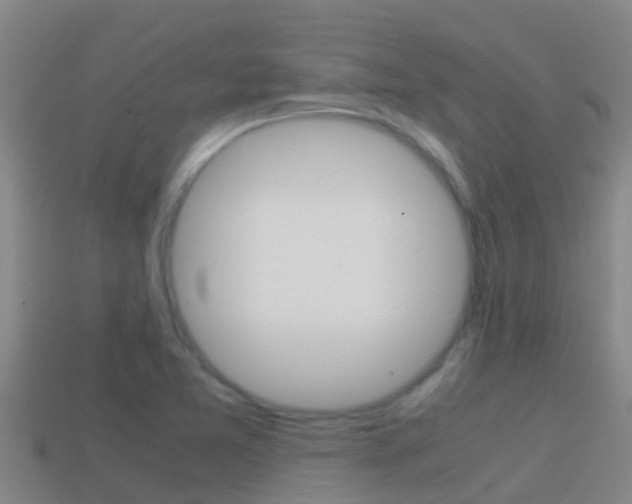 X0000114621365200910200953