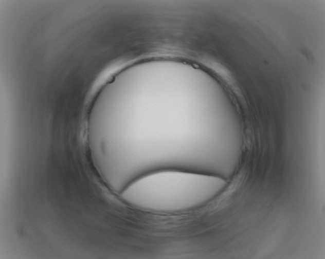 X0000114621366200910200953