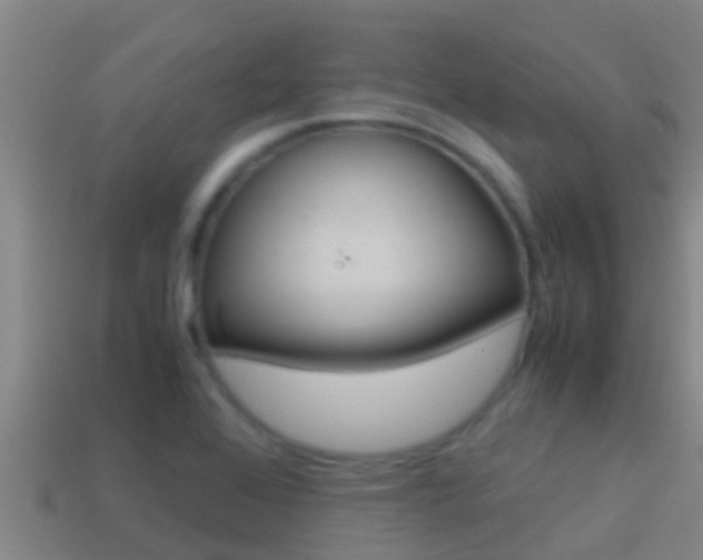 X0000114621368200910200953