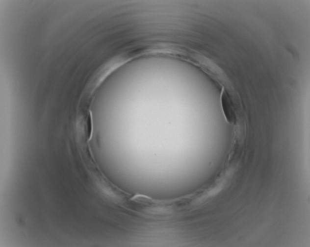 X0000114621369200910200953