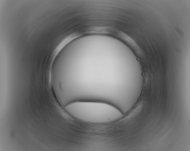 X0000114621370200910200953