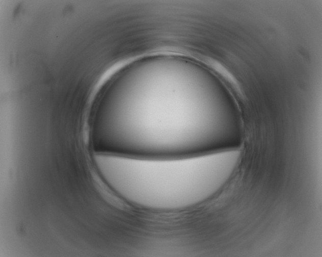 X0000114621372200910200952