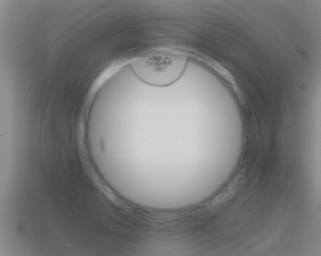 X0000114621373200910200952