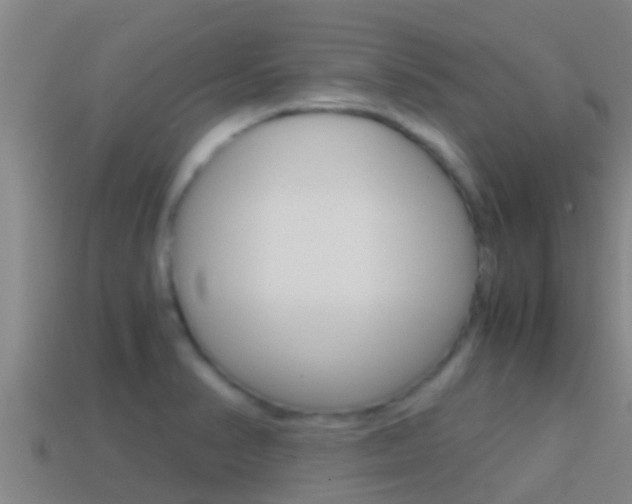 X0000114621374200910200952