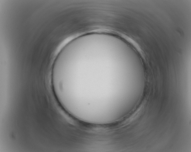 X0000114621375200910200952