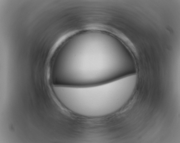X0000114621376200910200952