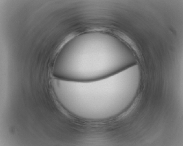 X0000114621377200910200952
