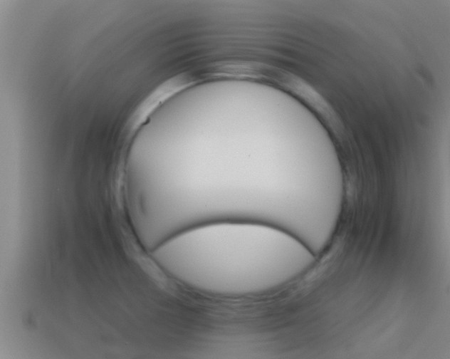 X0000114621378200910200952