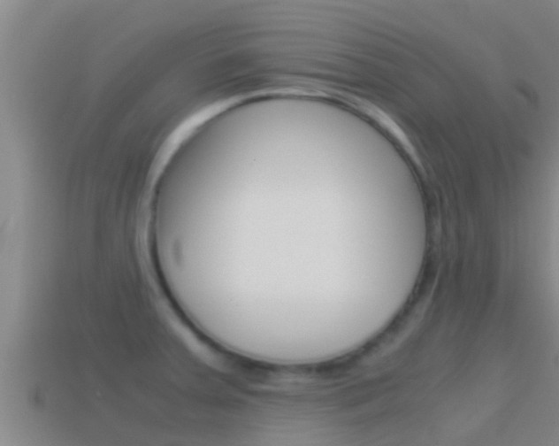 X0000114621379200910200952