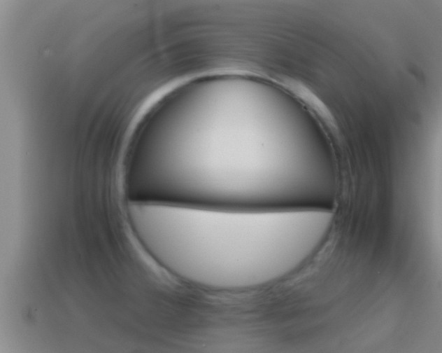 X0000114621380200910200952