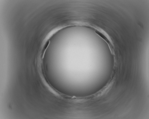 X0000114621381200910200952
