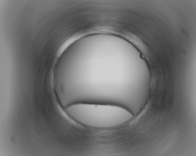 X0000114621382200910200952