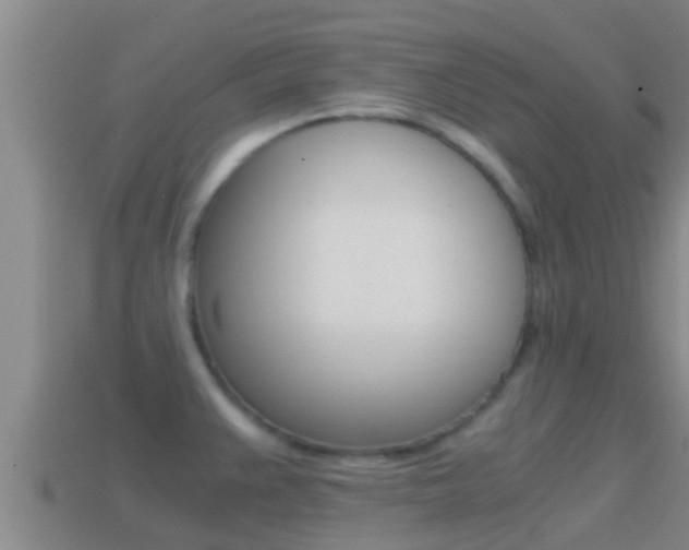 X0000114621383200910200952