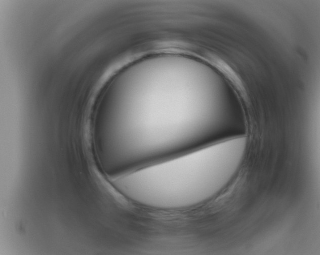 X0000114621384200910200952